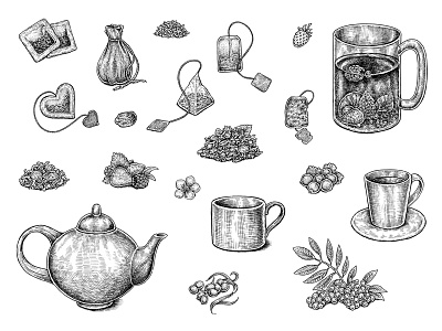 Tea Collection berries cafe cup drawing drink fruits herbal illustration ink menu tea