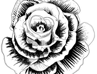 5/10 fleur drawing fleurs flowers illustration ink inkart inktober logo mangadrawing