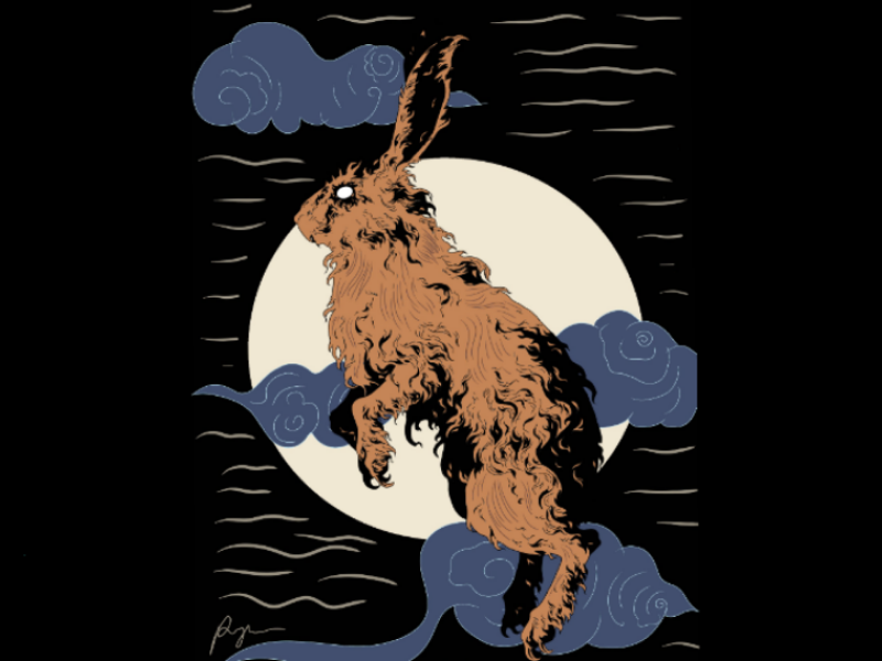 Rabbit by Reza Ryvero on Dribbble