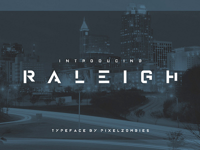 Raleigh - Typeface for Sale buy font minimal modern negative space raleigh sale sans serif typeface