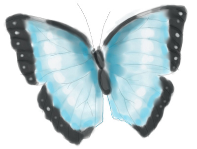 butterfly art design illustration