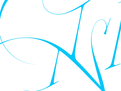 WIP lettering swashes typography