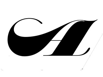 Robu Display lettering type type design typeface typography