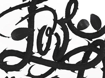 Love v.2 lettering script swashes type typography