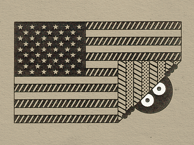 America america flag sneaky stars stripes