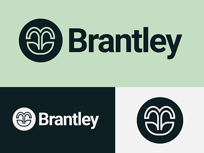 Brantley Logo art branding design graphic design illustration illustrator logo vector