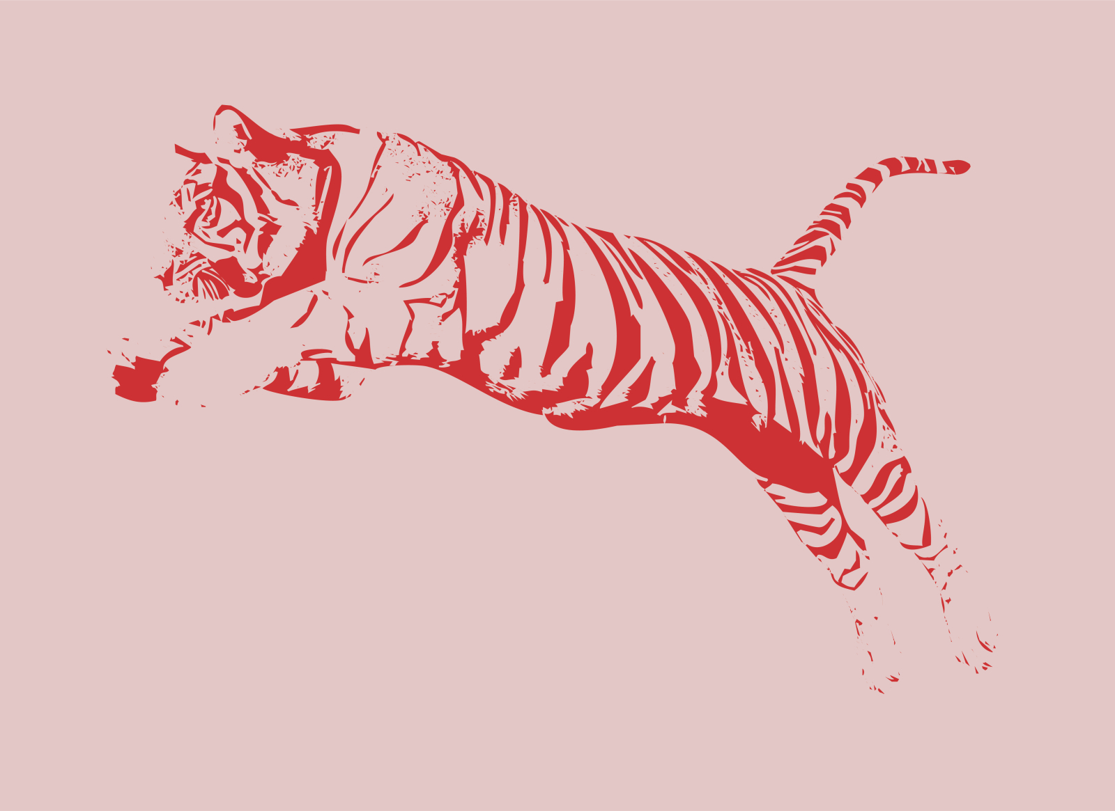 Tiger Vector by Nischay R on Dribbble