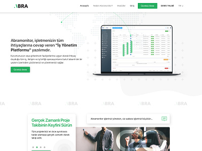 Abra Monitor - Professional Project management software