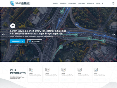 Globetech - Service Web Site css design development figma frontend development html responsive ui ux web