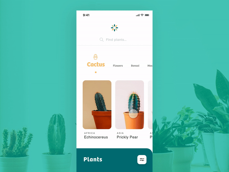 Flowers UI adobexd animation app cactus design ecommerce flat flowers illustration illustrator inspiration minimal typography ui ux