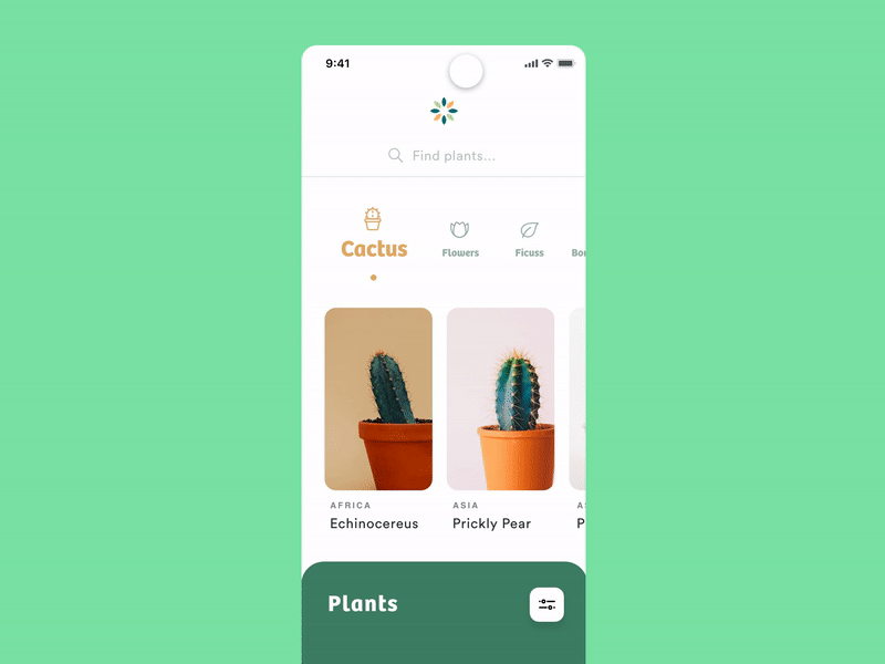 Flowers Micro Search adobexd animation app app design cactus design ecommerce fade flat flowers minimalistic mobile search ui