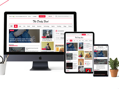 Responsive Newspaper Website Design