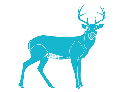 Deer adobe illustrator animal deer geometric illustration illustrator line lines one color stag