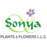 Sonya Plants