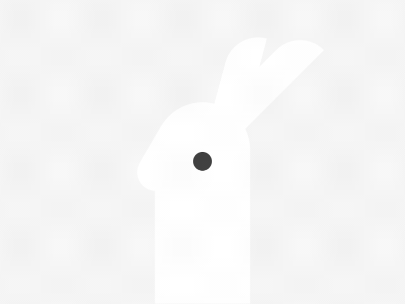 Year of the Rabbit aftereffects animal animation bunny design hare illustration motion rabbit