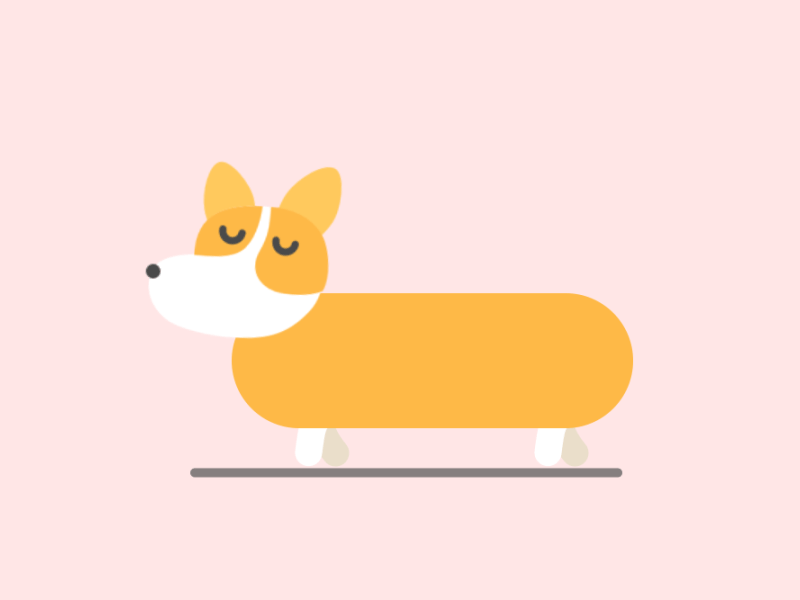Running Corgi ae aftereffects animal animation corgi design dog happybirthday motion motion graphic puppy running