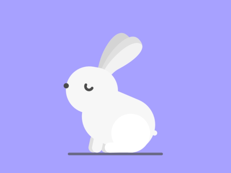 Hopping Bunny ae aftereffects animal animation bunny corgi design graphic happybirthday hopping motion rabit