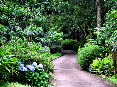 Makaranga Garden