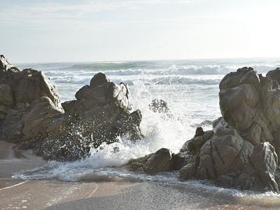 Beach Photography