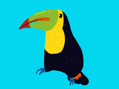 Little Toucan digitalart digitalpainting drawing illustration kids procreate