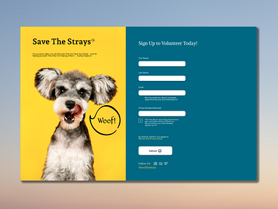 Save The Strays Volunteer SignUp dailyui desktop signup ui