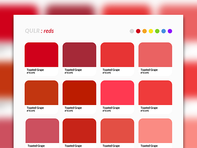 Qulr Filter Concept cards color colour colours qulr site surfacesl ui ux web website