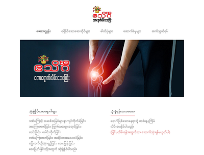 "Aye Theingi" Myanmar traditional medicine selling website medicine website myanmar website myanmar website web design