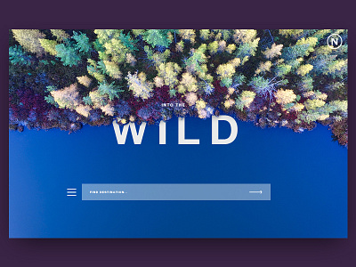 Into The Wild card clean design minimal search travel ui ux web website