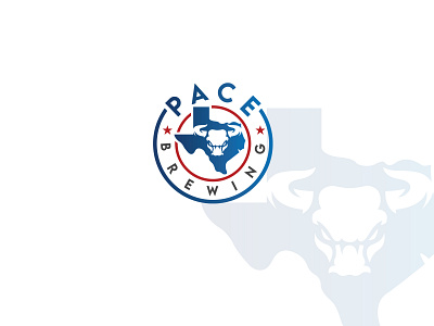 Texas Logo Design. branding business logo creative design flat icon logo minimal professional logo texas logo