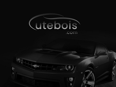 Car website logo