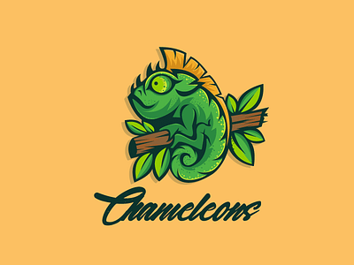 Chameleons Mascot Logo 2d 3d animation app logo branding design graphic design icon icon logo illustration logo logo design mascot minimal motion graphics typography ui ux vector web