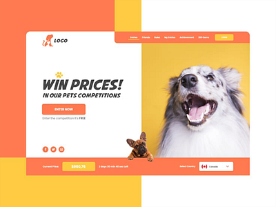 Pets website | Design 2d 3d animation app logo branding design graphic design illustration logo logo design motion graphics research ui typography ui ux ux design vector visual design web web design