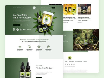 BALM | Website Concept