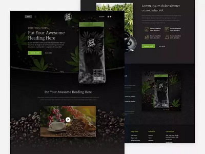 Coffee Beans  Brand  Website Design