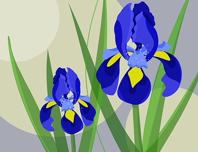 Flowers design illustration vector арт ирисы цветы