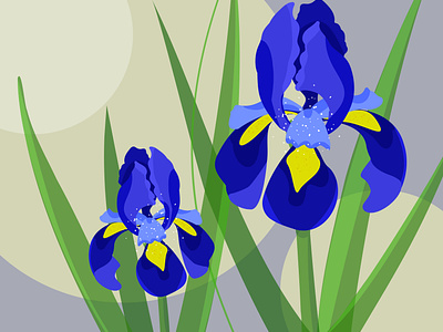 Flowers design illustration vector арт ирисы цветы
