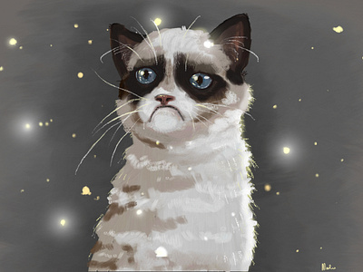 Grumpy cat