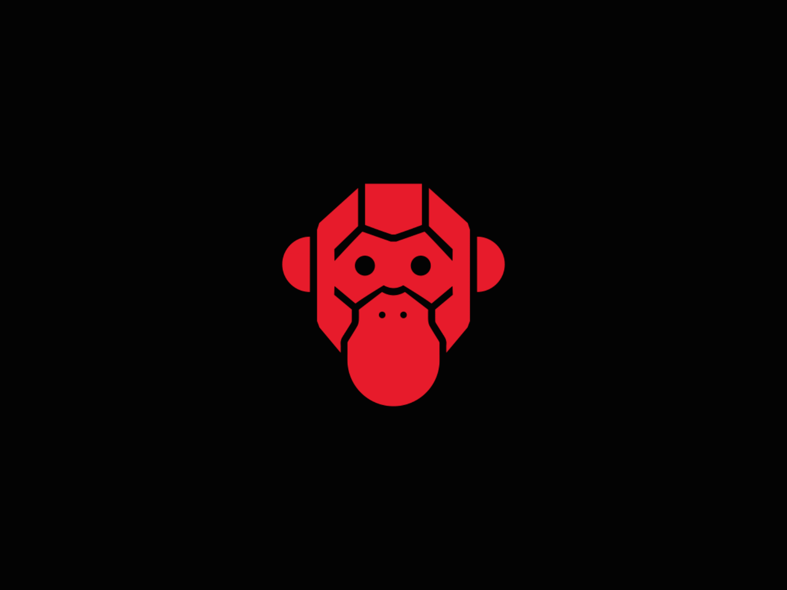 Red Monkey branding identity logo motion
