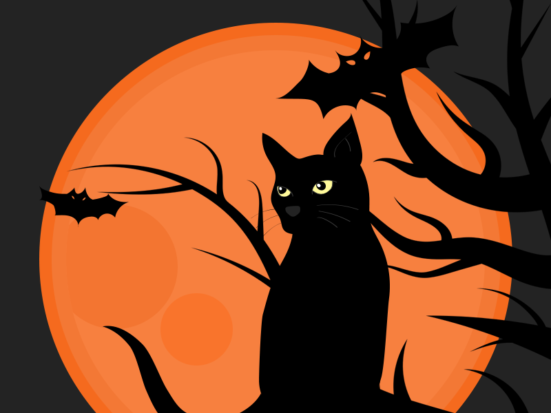 Halloween cat by Sani C on Dribbble