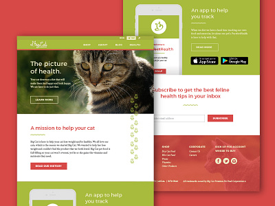 Big Cat Website Concept brand cat concept design food homepage icons illustration pet food pets ui website