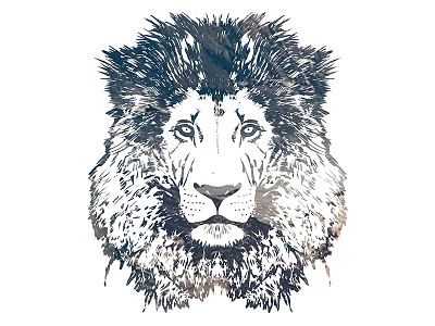 Lion hand drawn lion