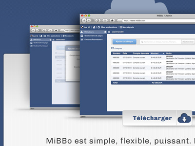 Cms mibbo presentation