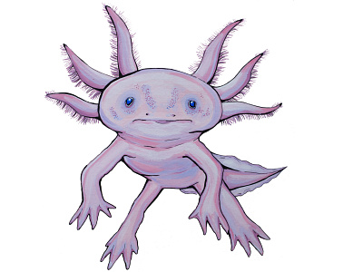 Gouache hand drawn Axolotl