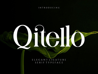 Qitello Ligature Serif Typeface vintage