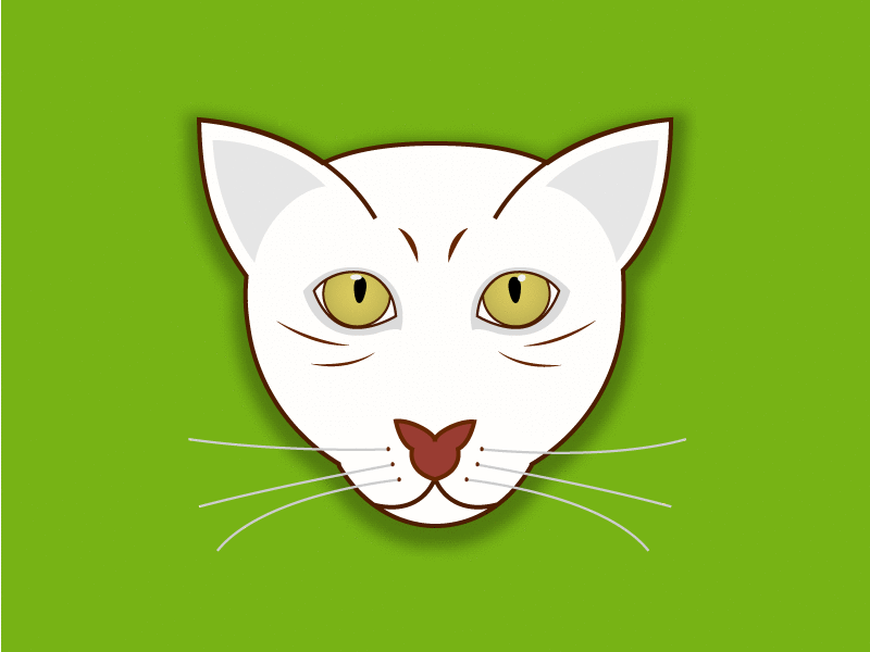 Various cats cats face illustration