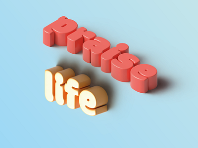 Praise-Life 3d design graphic design logo typography vector