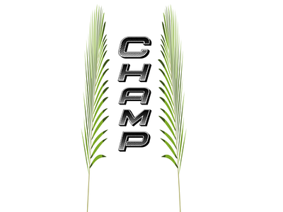 Champ design