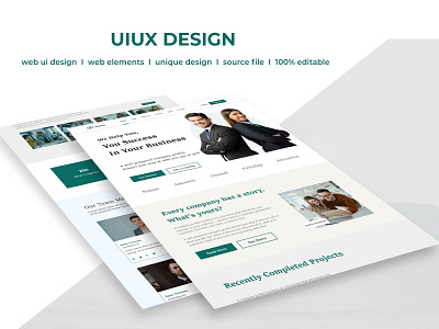 Business Consultan Landing Page UIUX Design