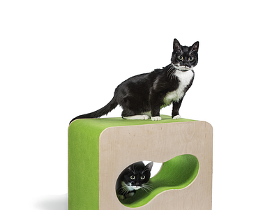 Cat cube bed for cat, seat for human animals cat bed cats creative design furniture design modern furniture