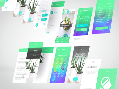 Flo app | wireframe animation app app design application design web